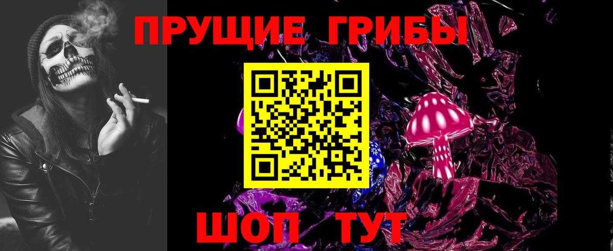 Псилоцибиновые грибы GOLDEN TEACHER  Вход с VPN  Чебаркуль  Псилоцибиновые грибы Magic Shrooms 